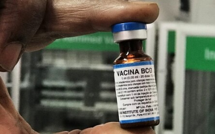 vacina bcg - foto - secom - divulgação