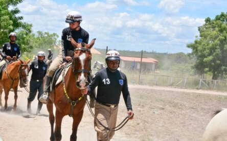 Cavalaria da PM