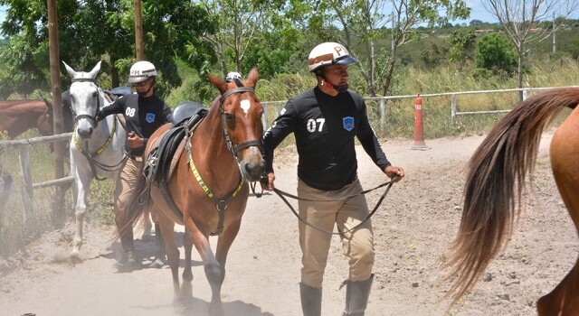 Cavalaria da PM