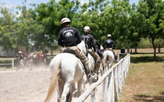 Cavalaria da PM
