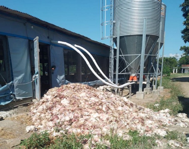 Foto: Associação Baiana de Avicultura 