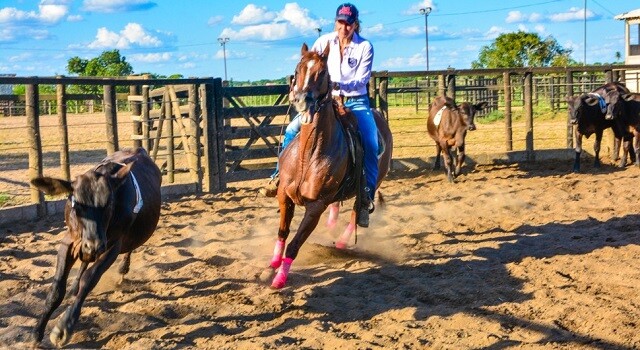 Esporte em Feira de Santana