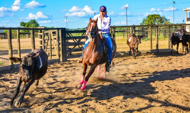 Esporte em Feira de Santana