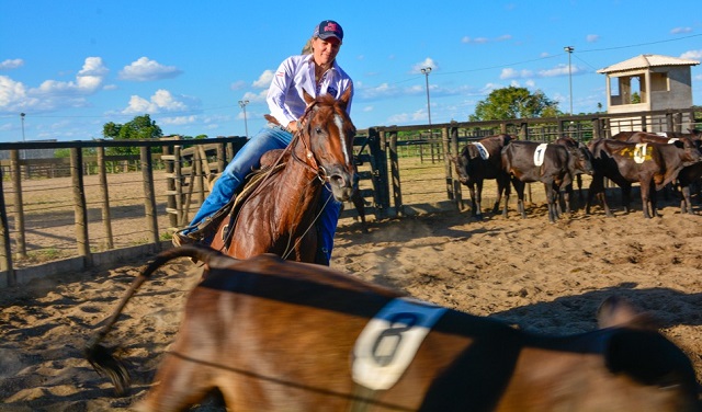 Esporte em Feira de Santana