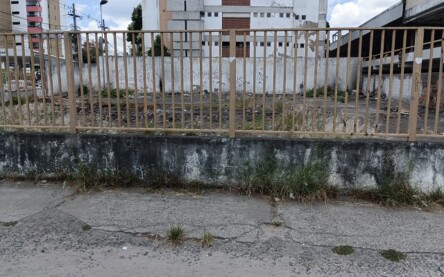 Comerciantes