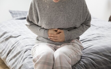 Intestino