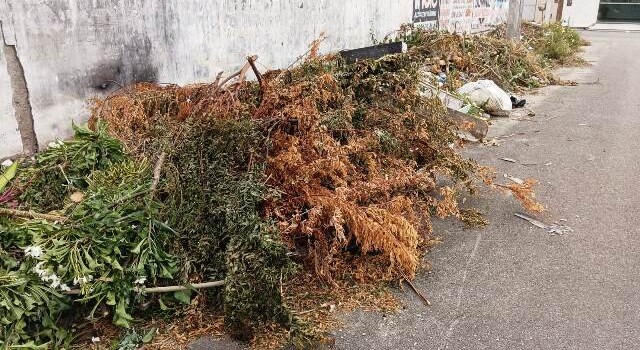 Muro de terreno localizado na Rua Maria Soares Cardoso, no bairro Parque Ipê, está servindo como ponto para o descarte irregular de lixo. (Foto: Paulo José/Acorda Cidade)