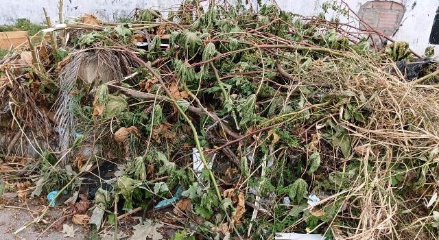 Muro de terreno localizado na Rua Maria Soares Cardoso, no bairro Parque Ipê, está servindo como ponto para o descarte irregular de lixo. (Foto: Paulo José/Acorda Cidade)