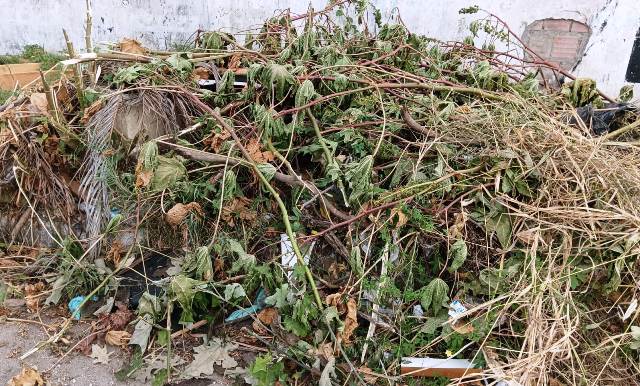 Muro de terreno localizado na Rua Maria Soares Cardoso, no bairro Parque Ipê, está servindo como ponto para o descarte irregular de lixo. (Foto: Paulo José/Acorda Cidade)