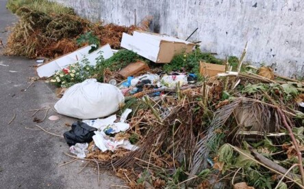 Muro de terreno localizado na Rua Maria Soares Cardoso, no bairro Parque Ipê, está servindo como ponto para o descarte irregular de lixo. (Foto: Paulo José/Acorda Cidade) Muro de terreno localizado na Rua Maria Soares Cardoso, no bairro Parque Ipê, está servindo como ponto para o descarte irregular de lixo. (Foto: Paulo José/Acorda Cidade)
