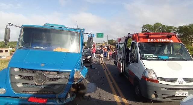 irmãos carro veículo acidente animais 