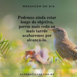 Um dia de cada vez!