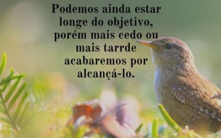 Um dia de cada vez!