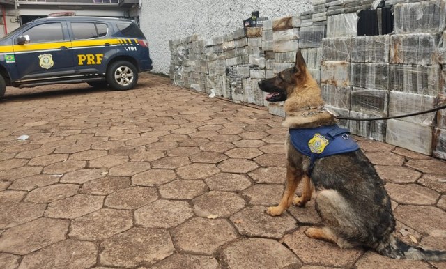 Apreensão cocaína PRF_ Foto Divulgação