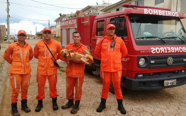 Foto: Corpo de Bombeiros