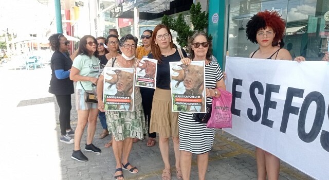 Manifestação