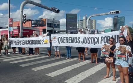 Manifestação