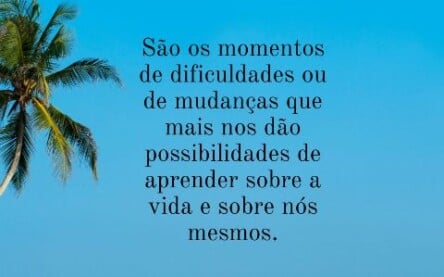 Tudo na vida pode ser uma lição