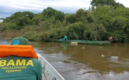 Foto: Ibama/Divulgação