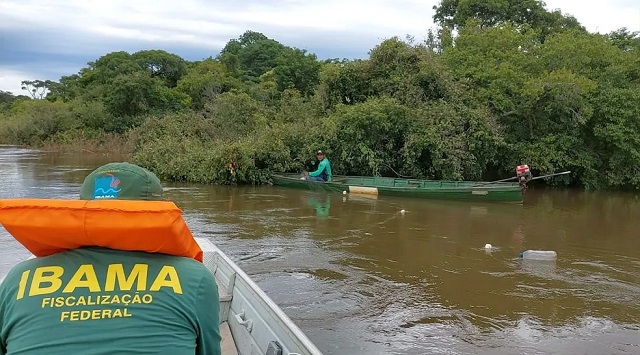 Foto: Ibama/Divulgação