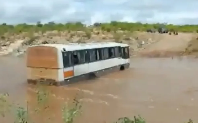 Foto: Reprodução/TV São Francisco

