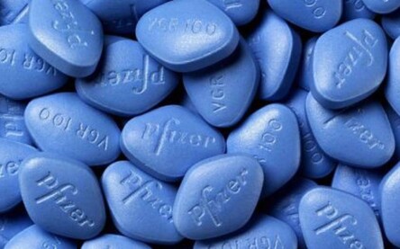 Foto: DIVULGAÇÃO / PFIZER