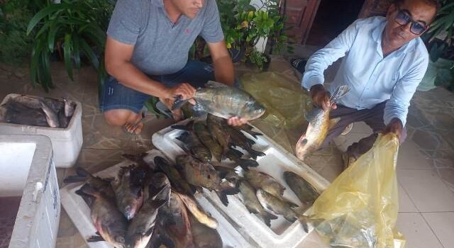 Pesca Solidária_