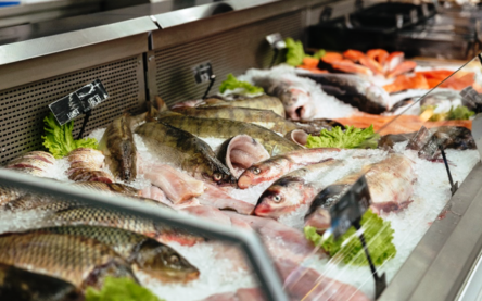 peixe
