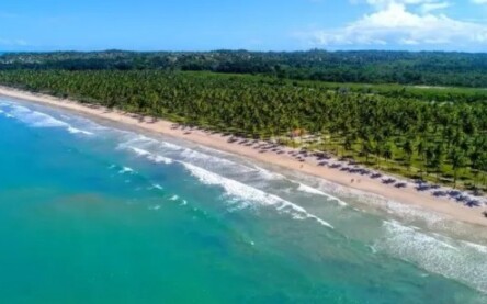 Foto: Reprodução / Bahia Terra