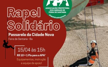 Rapel Solidário