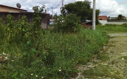 Foto: Enviada pelo WhatsApp