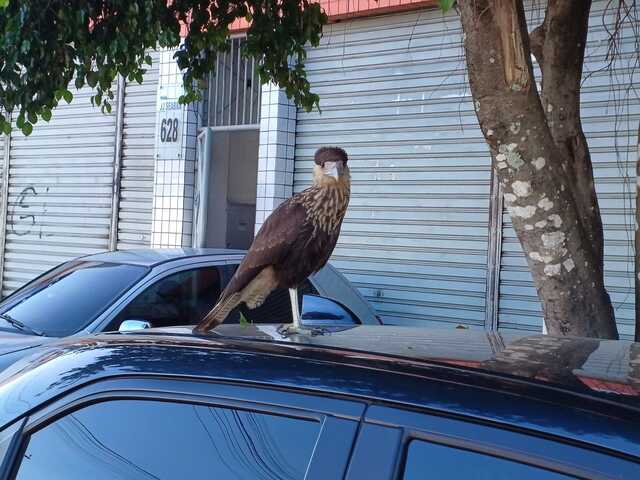 Foto: Paulo José/Acorda Cidade