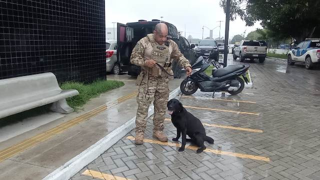 Cão farejador do Coe_ Foto Ed Santos Acorda Cidade