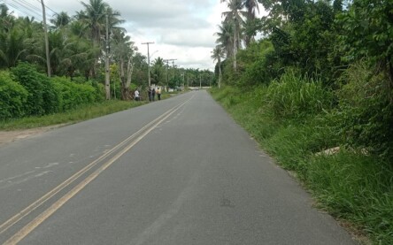 Estrada do Fulô Estrada do Fulô