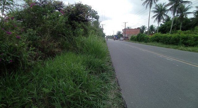 Estrada do Fulô
