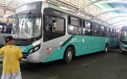 ônibus empresa rosa