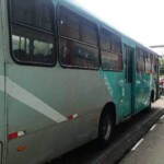 ônibus empresa rosa