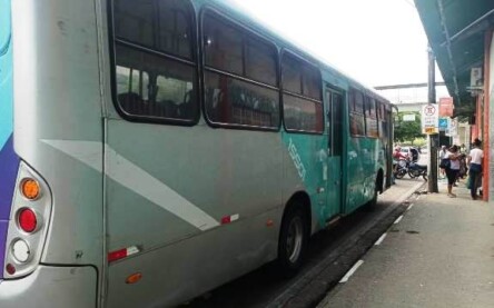 ônibus empresa rosa
