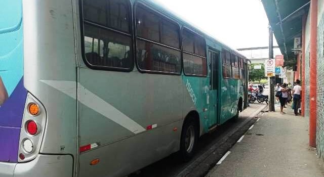 ônibus empresa rosa