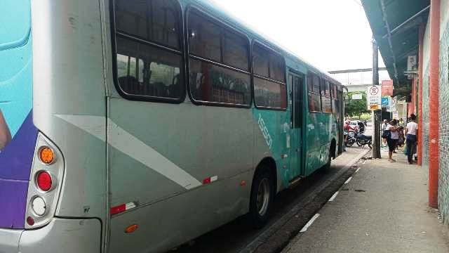 ônibus empresa rosa