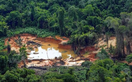Mulher é encontrada morta em Terra Indígena Yanomami