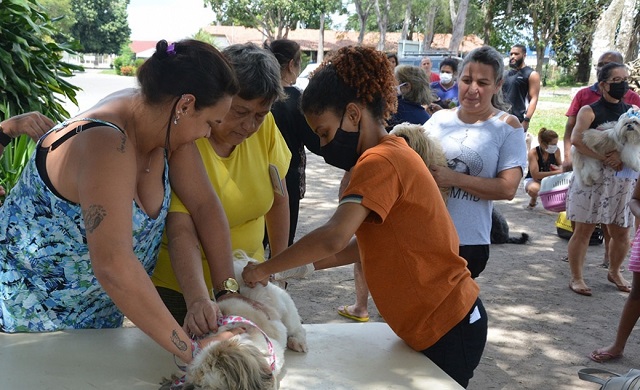 Mais quatro bairros com vacinação de cães e gatos nesta semana