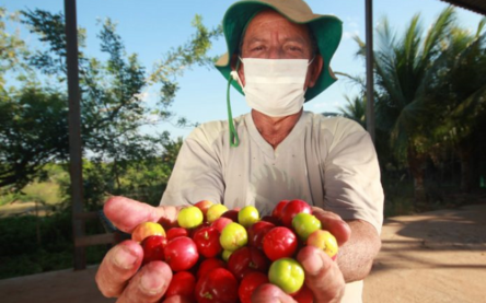 Foto: Divulgação/SDR