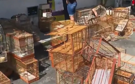  Foto: Reprodução/TV Bahia