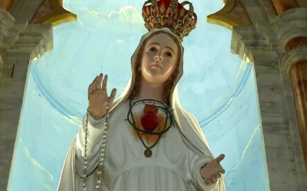 Foto: Reprodução/TVM
