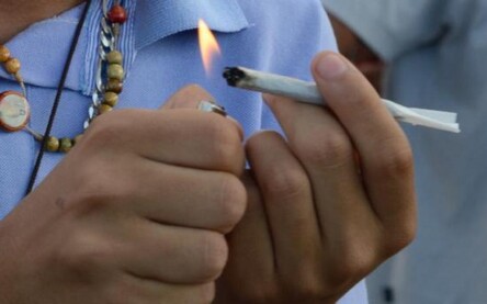 Maconha Maconha