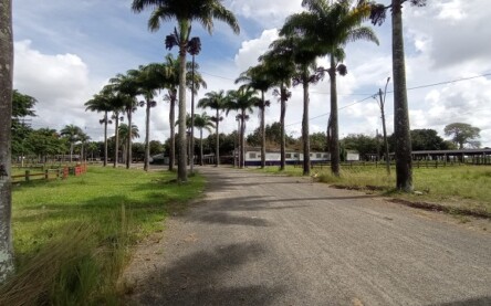 Parque de Exposições