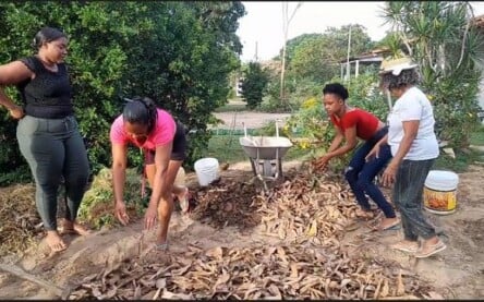Produtores Rurais