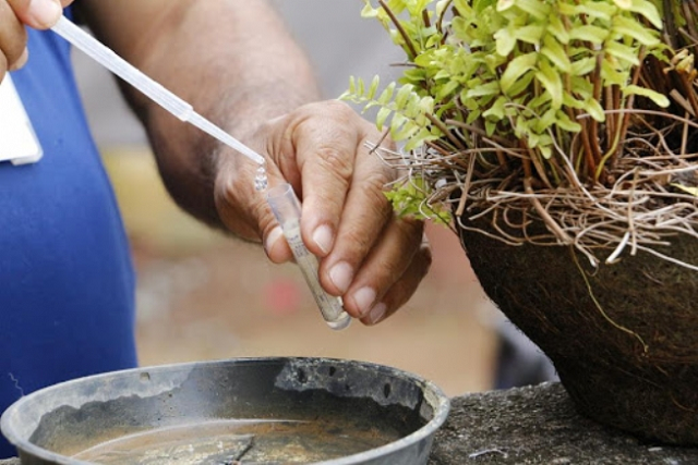 Foto: Divulgação/Secom