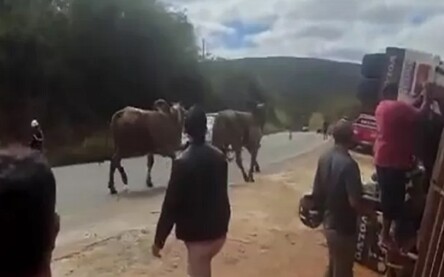 Foto: Achei Sudoeste 